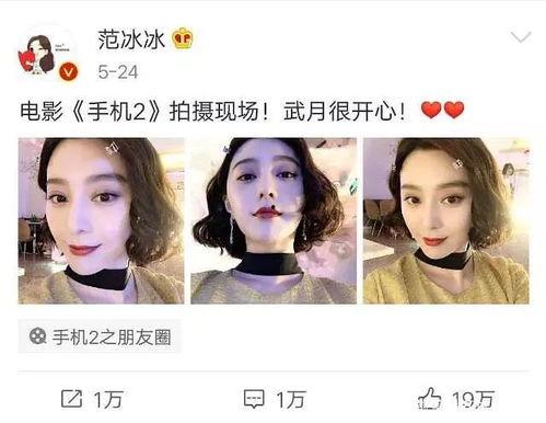 娱乐圈吃瓜集美小说,瓜田里的甜蜜陷阱